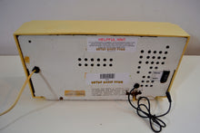 Charger l&#39;image dans la galerie, SOLD! - Sept 24, 2019 - Vanilla Ivory Vintage 1959 Sylvania Model 5T10 Radio with Amazon Echo Dot! - [product_type} - Sylvania - Retro Radio Farm