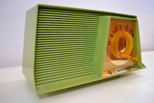 画像をギャラリービューアに読み込む, SOLD! - Aug 18, 2019 - Avocado Mid Century Vintage 1962 Motorola A10G62 Tube AM Radio Cool Model Rare Color! - [product_type} - Motorola - Retro Radio Farm