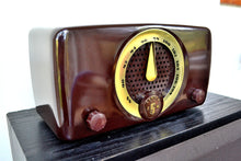 画像をギャラリービューアに読み込む, SOLD! - Aug 22, 2019 - Chocolate Brown Bakelite 1949 Zenith Model 7H918 FM Only Tube Radio Great Player Delicious Looking! - [product_type} - Zenith - Retro Radio Farm