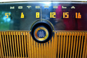 SOLD! - Feb 13, 2020 - Verdant Green 1951 Motorola Model 52H Tube AM Radio High Quality Construction! - [product_type} - Motorola - Retro Radio Farm