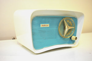Turquoise and White 1959 Travler Model T-204 AM Vacuum Tube Radio Cute As A Button!