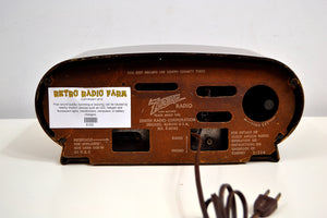 Owl Eyes Brown AM Vintage Tube Retro 1950 and 5-L-03 Zenith Charmer!s Clock Radio Gold Radio – Century Mid Farm