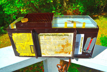 Load image into Gallery viewer, SOLD! - Jan 21, 2018 - ESPRESSO Marbled Mid Century Retro 1960 Silvertone Model 7025 AM Clock Radio Totally Restored! - [product_type} - Silvertone - Retro Radio Farm