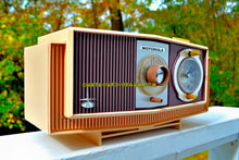 画像をギャラリービューアに読み込む, SOLD! - Oct 27, 2017 - TWILIGHT SPARKLE Purple And Pink Mid Century Retro 1963 Motorola Model C4P-143 Tube AM Clock Radio Rare Colors! - [product_type} - Motorola - Retro Radio Farm