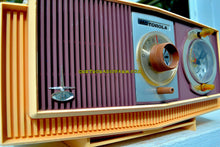 画像をギャラリービューアに読み込む, SOLD! - Oct 27, 2017 - TWILIGHT SPARKLE Purple And Pink Mid Century Retro 1963 Motorola Model C4P-143 Tube AM Clock Radio Rare Colors! - [product_type} - Motorola - Retro Radio Farm
