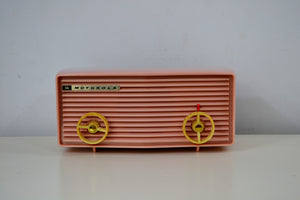 SOLD! - Aug 16, 2019 - Powder Pink 1957 Motorola 57R Tube AM Antique Radio Real Cutie! - [product_type} - Motorola - Retro Radio Farm