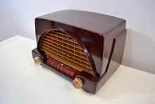 画像をギャラリービューアに読み込む, SOLD! - Nov 30, 2019 - Burgundy Brown Bakelite Vintage 1951 Philco Model 50-526 AM Radio Sounds Amazing Looks Grand! - [product_type} - Philco - Retro Radio Farm