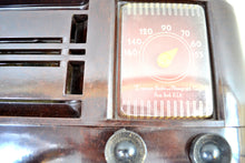 Load image into Gallery viewer, Umber Brown Bakelite 1946 Emerson Model 507 AM Tube Radio Golden Age of Radio Beauty! - [product_type} - Emerson - Retro Radio Farm