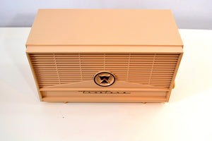 Vintage 1960 Truetone Model 2063 AM Tube Radio - [product_type} - Truetone - Retro Radio Farm