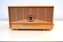 Load image into Gallery viewer, Vintage 1960 Truetone Model 2063 AM Tube Radio - [product_type} - Truetone - Retro Radio Farm