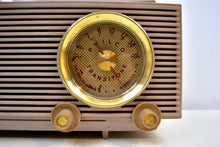 画像をギャラリービューアに読み込む, SOLD! - Dec 1, 2019 - Taro Taupe Mauve Mid Century 1953 Philco Model 53-702 Transitone AM Civil Service Clock Radio Sleek Looking! - [product_type} - Philco - Retro Radio Farm