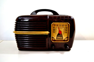 SOLD! - Dec. 4, 2019 - Nutmeg Brown Swirl Bakelite 1940 Motorola Model 60X1 Vacuum Tube AM Radio Deco Looks with a Sweet Sound! - [product_type} - Motorola - Retro Radio Farm