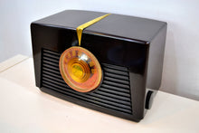 Load image into Gallery viewer, SOLD! - Jan. 14, 2020 - Lustrous Brown Vintage 1949 RCA Victor Model 8X541 AM Vacuum Tube Radio Excellent Plus Condition! - [product_type} - RCA Victor - Retro Radio Farm
