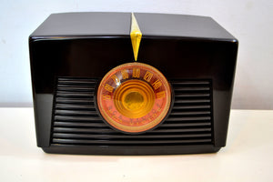 SOLD! - Jan. 14, 2020 - Lustrous Brown Vintage 1949 RCA Victor Model 8X541 AM Vacuum Tube Radio Excellent Plus Condition! - [product_type} - RCA Victor - Retro Radio Farm