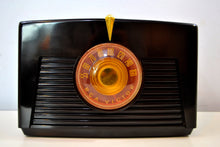 Load image into Gallery viewer, SOLD! - Jan. 14, 2020 - Lustrous Brown Vintage 1949 RCA Victor Model 8X541 AM Vacuum Tube Radio Excellent Plus Condition! - [product_type} - RCA Victor - Retro Radio Farm