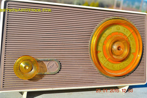 SOLD! - Sept 4, 2016 - MAUVE TAN and WHITE Retro Jetsons Vintage 1958 RCA 1-RA-36 AM Tube Radio WORKS! - [product_type} - RCA Victor - Retro Radio Farm