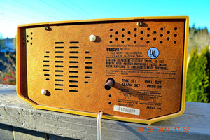 SOLD! - Nov. 13, 2014 PSYCHEDELIC Mobius 1960's RCA Model RZD 403N - [product_type} - RCA Victor - Retro Radio Farm