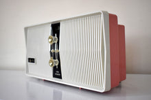 Charger l&#39;image dans la galerie, Persimmon and Ivory 1961 Arvin Model 10R32 AM Vacuum Tube Radio Excellent Plus Condition! Twin Speaker Double Delight!