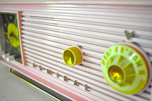 フラミンゴ ピンク 1956 アドミラル モデル 5H44N 真空管 AM クロック ラジオ 音がいい!素晴らしく見える！