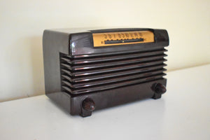 Timber Brown Bakelite 1952 Wards Airline Model 05BR-1525C AM Vacuum Tube Radio Beauty of Bakelite Sounds Marvelous!