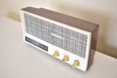 Sahara Taupe 1959 Arvin Model 2585 Vacuum Tube AM Radio Clean and Gorgeous Looking and Sounding!