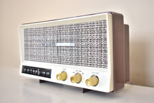Load image into Gallery viewer, Sahara Taupe 1959 Arvin Model 2585 Vacuum Tube AM Radio Clean and Gorgeous Looking and Sounding!