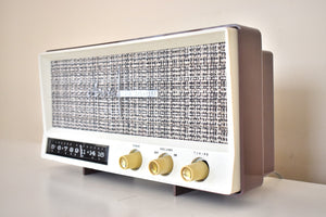 Sahara Taupe 1959 Arvin Model 2585 Vacuum Tube AM Radio Clean and Gorgeous Looking and Sounding!