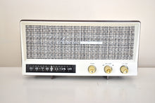 Load image into Gallery viewer, Sahara Taupe 1959 Arvin Model 2585 Vacuum Tube AM Radio Clean and Gorgeous Looking and Sounding!