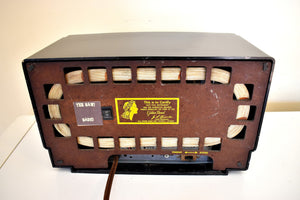 Bluetooth 準備完了 - セーブル ブラックとグレー ヴィンテージ 1953 RCA Victor モデル 6-XD-5 「ザ グレンドン」真空管ラジオ デュアル スピーカー サウンドも見た目も素晴らしい。
