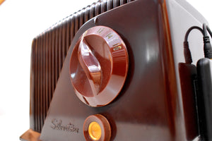 Bluetooth Ready To Go - Brown Bakelite Vintage 1948 Silvertone Model 9000 AM Vacuum Tube Radio