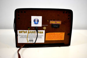 Bluetooth Ready To Go - Brown Bakelite Vintage 1948 Silvertone Model 9000 AM Vacuum Tube Radio