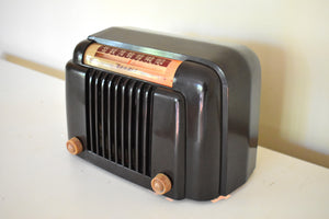 クラシック ブラウン 大理石 ベークライト 1947 ベンディックス アビエーション モデル 526A AM 真空管 AM ラジオ 優れた状態 + 素晴らしいサウンドです。