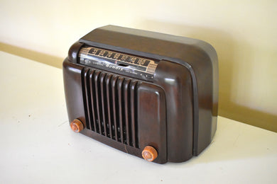 Classic Brown Marble 1947 Bendix Aviation Model C526A Bakelite AM Vacuum Tube AM Radio Sounds Wonderful!