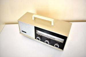 Silkwood Beige 1965 Channel Master Model 6260A Transistor AM Radio Cute Design Excellent Condition!