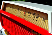 画像をギャラリービューアに読み込む, SOLD! - Sept 24, 2017 - RED RIDING HOOD Mid Century Retro Vintage 1956 Olympic Model 552 Tube AM Radio Totally Sick! - [product_type} - Olympic - Retro Radio Farm
