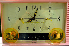 Load image into Gallery viewer, SOLD! - May 8, 2017 - DAISY PINK Mid-Century Retro Vintage 1959 Philco Model F-762-124 AM Tube Clock Radio Totally Restored! - [product_type} - Philco - Retro Radio Farm