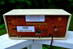 SOLD! - Sept 23, 2017 - MUSTARD Yellow Mid Century Vintage 1961 Travler 63C301 AM Tube Radio Pristine and Rare As Can Be! - [product_type} - Travler - Retro Radio Farm