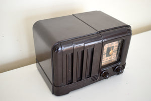 Mocha Brown Bakelite 1947 Arkay Model 5SE Vacuum Tube AM Radio Sounds Great Cute Little Bakelite!