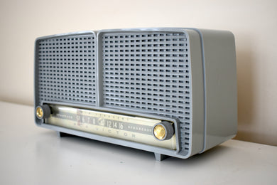 Tundra Gray 1956 RCA Victor Model 8-X-8J AM Vacuum Tube Radio Twin Speaker Better Listening Excellent Plus Condition!