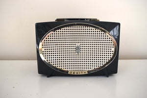Charcoal Dynamo 1955 Zenith Model Y513 Vacuum Tube AM Radio Sounds Spectacular Excellent Plus Condition!