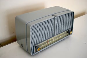 タンドラ グレー 1956 RCA Victor モデル 8-X-8J AM 真空管ラジオ ツイン スピーカー より良く聴ける、素晴らしいプラスコンディション！