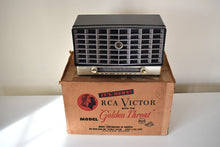 画像をギャラリービューアに読み込む, フリートウッド ブラック ヴィンテージ 1953 RCA Victor 6-XD-5 真空管ラジオ デュアル スピーカー サウンドも見た目も素晴らしく、オリジナル ボックス付きです。