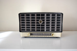 フリートウッド ブラック ヴィンテージ 1953 RCA Victor 6-XD-5 真空管ラジオ デュアル スピーカー サウンドも見た目も素晴らしく、オリジナル ボックス付きです。