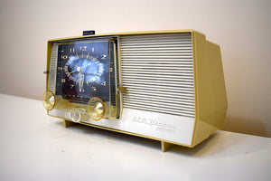 アキノキリンソウと白 1958 RCA Victor Model 1-C-5KE 真空管 AM クロック ラジオ サウンドは素晴らしいです。