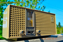 Charger l&#39;image dans la galerie, SOLD! - Nov 23, 2014 - AM/FM HIPSTER GREY Retro Vintage 1960&#39;s General Electric T-230C Model AM/FM Tube Radio WORKS! - [product_type} - General Electric - Retro Radio Farm