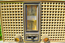 Charger l&#39;image dans la galerie, SOLD! - Nov 23, 2014 - AM/FM HIPSTER GREY Retro Vintage 1960&#39;s General Electric T-230C Model AM/FM Tube Radio WORKS! - [product_type} - General Electric - Retro Radio Farm
