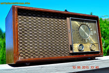 Charger l&#39;image dans la galerie, SOLD! - Aug 31, 2015 - HARDWOOD 1964 Zenith Model M730 Brown AM/FM Tube Radio Works Great! - [product_type} - Zenith - Retro Radio Farm