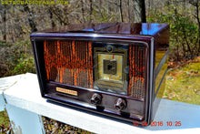 Charger l&#39;image dans la galerie, SOLD! - Dec. 13, 2017 - RARE 1949 CONSTELLATION Model 1135 AM Swirly Brown Bakelite Tube Radio Totally Restored! - [product_type} - Constellation - Retro Radio Farm