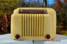 画像をギャラリービューアに読み込む, SOLD! - Dec 3, 2016 - SMART LOOKING 1947 Ivory Bendix Aviation Model 110W Bakelite AM Tube AM Radio Works Great! - [product_type} - Bendix Aviation - Retro Radio Farm