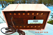 Charger l&#39;image dans la galerie, SOLD! - Feb 21, 2017 - MADISON PINK Mid Century Jet Age Retro 1959 Philco Model F813-124 Tube AM Radio Totally Awesome!! - [product_type} - Philco - Retro Radio Farm